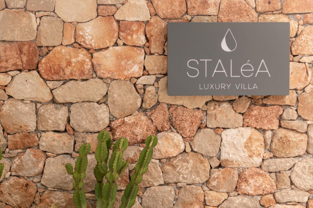 Stalea Luxury Villa Pefki  Exterior photo